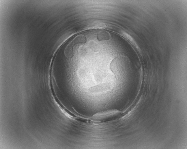 X0000071810802200607072116