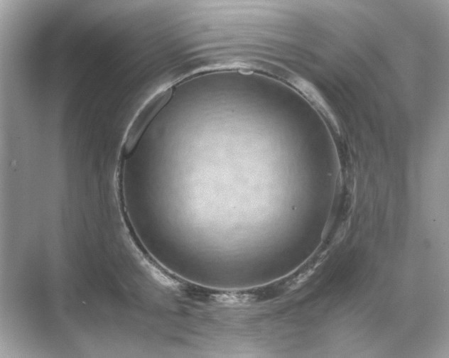 X0000071810805200607072116