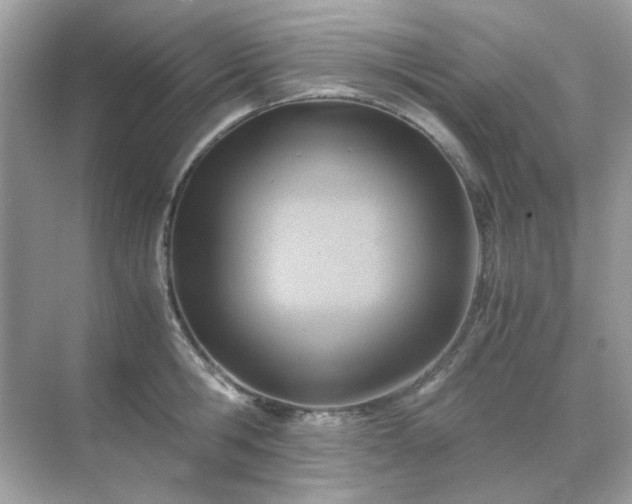 X0000071810806200607072116