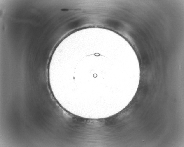 X0000071810807200607072116