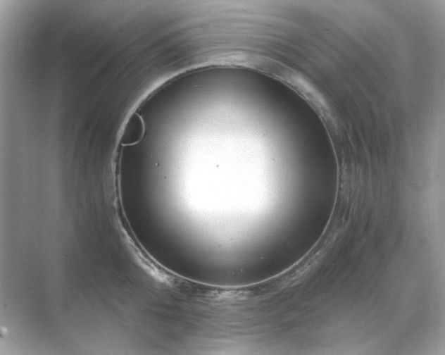 X0000071810808200607072116