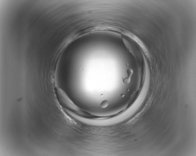 X0000071810809200607072116