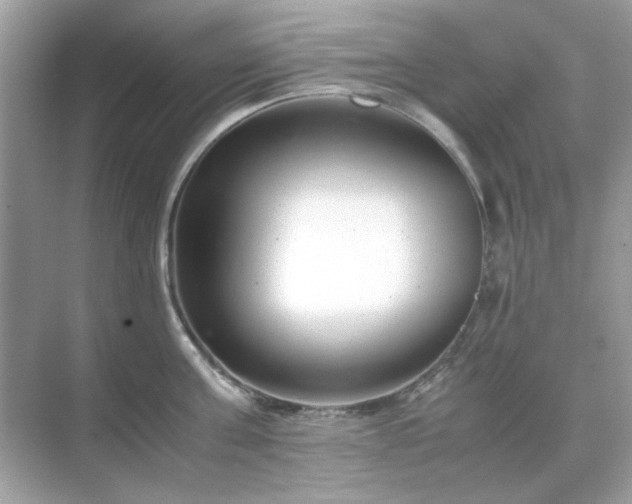 X0000071810811200607072116