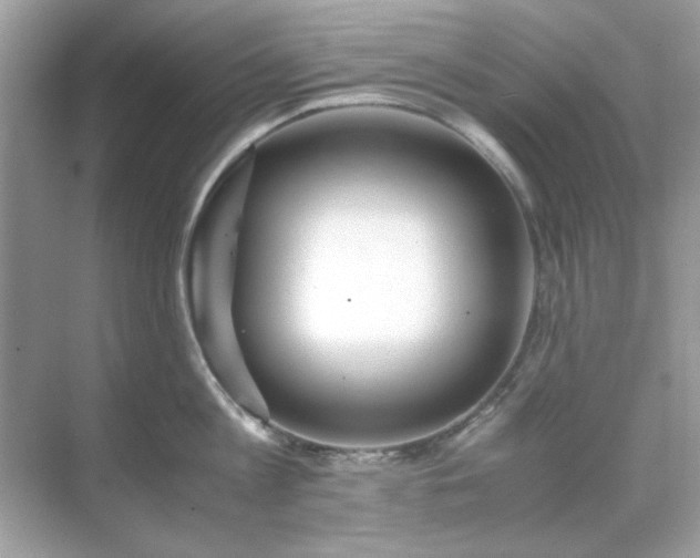 X0000071810813200607072116