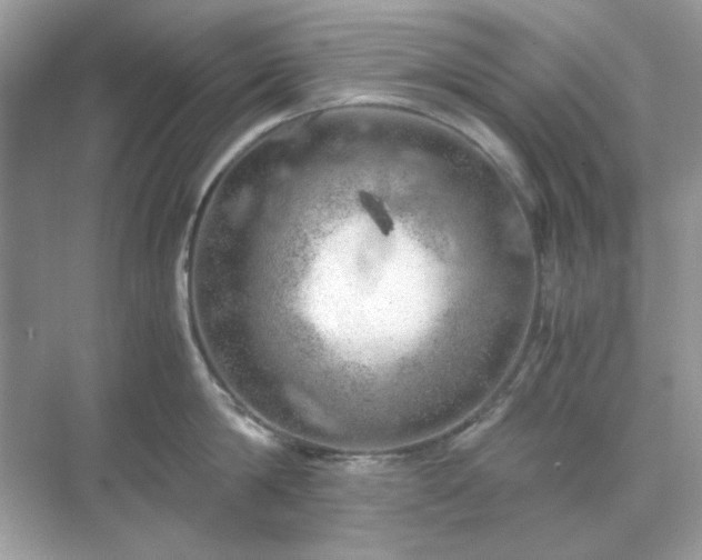 X0000071810814200607072116