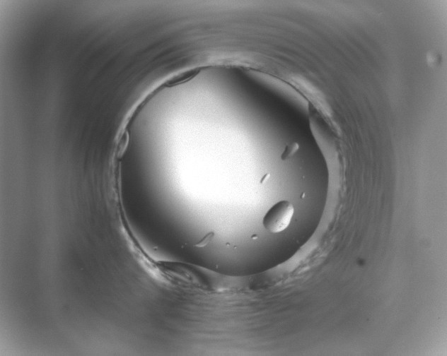 X0000071810816200607072116