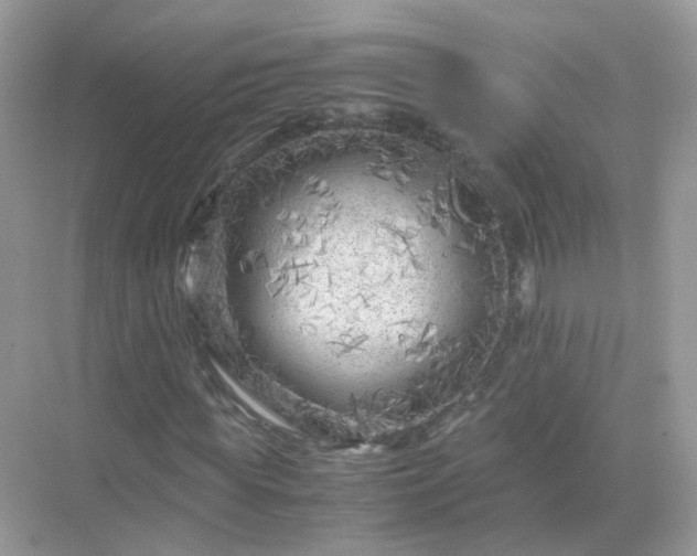 X0000071810819200607072115