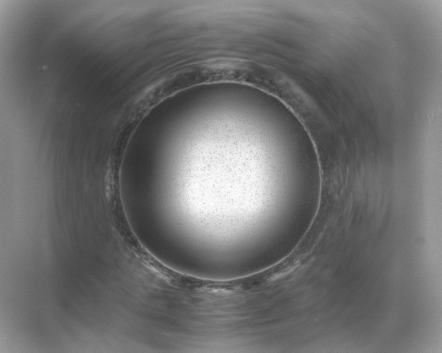 X0000071810821200607072115