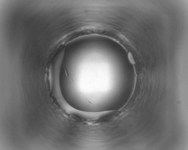 X0000071810822200607072115