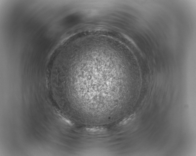 X0000071810823200607072115