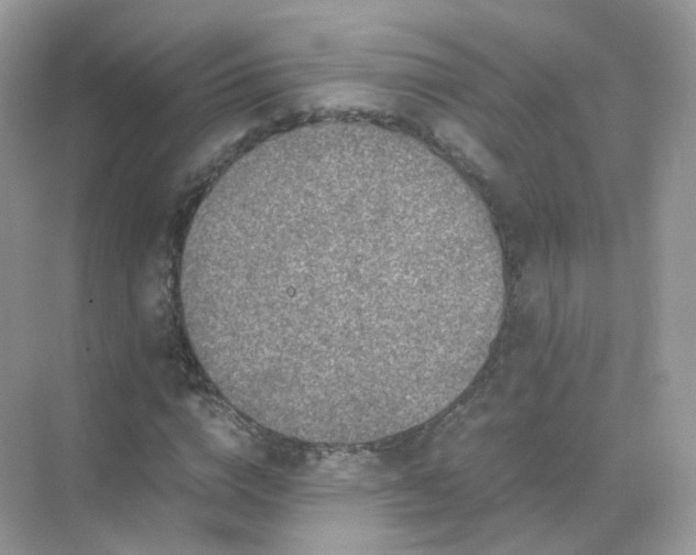 X0000071810824200607072115