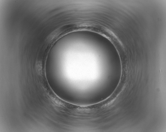 X0000071810825200607072115