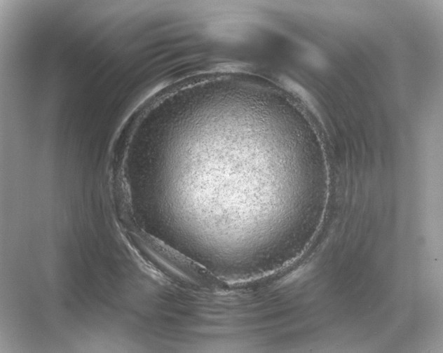 X0000071810827200607072115