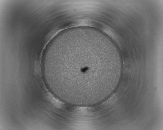 X0000071810828200607072115