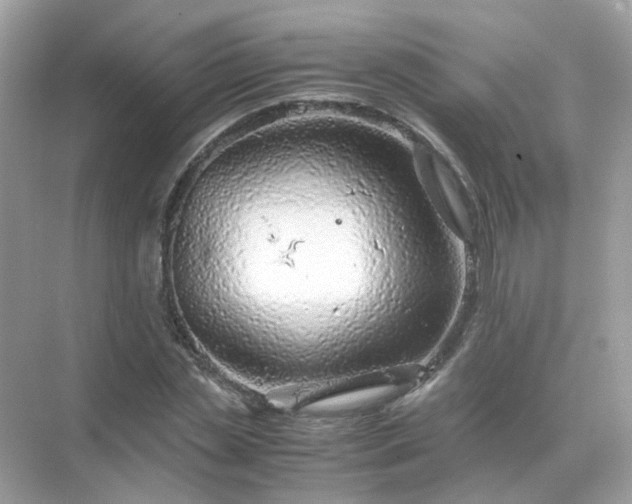 X0000071810829200607072115