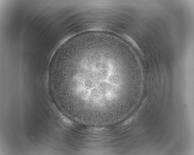 X0000071810831200607072115