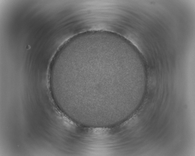 X0000071810832200607072115