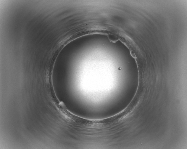 X0000071810833200607072115