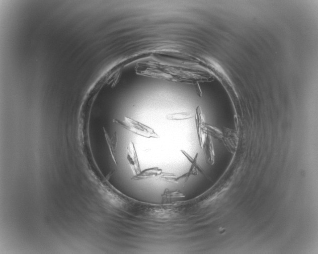 X0000071810835200607072115