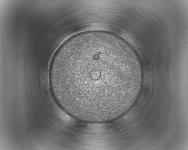 X0000071810836200607072115