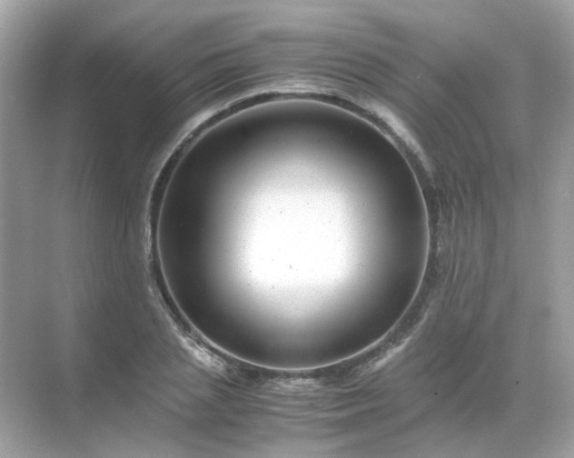 X0000071810837200607072115