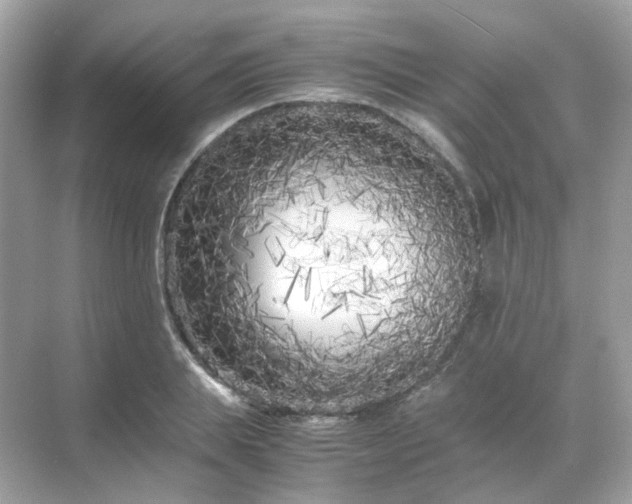 X0000071810839200607072115