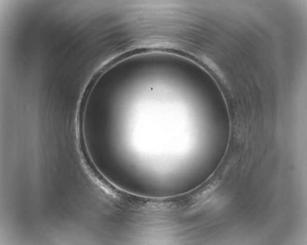 X0000071810840200607072115