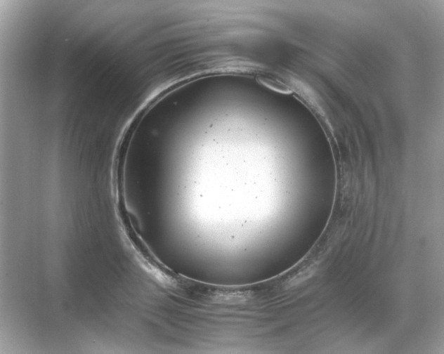 X0000071810843200607072115