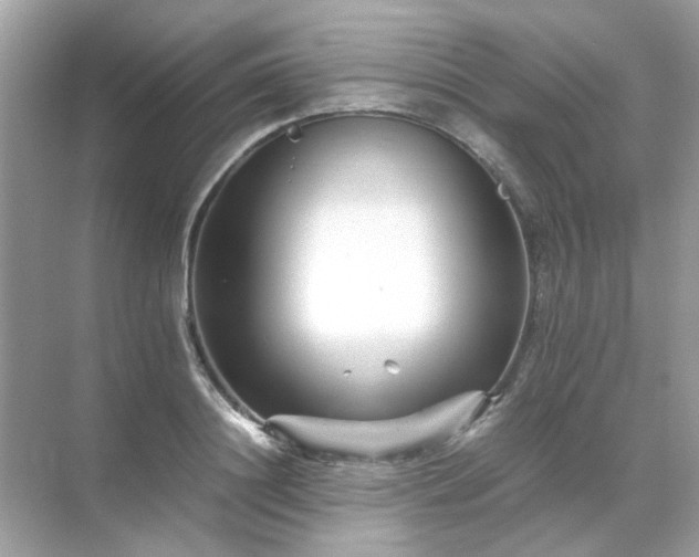 X0000071810844200607072115