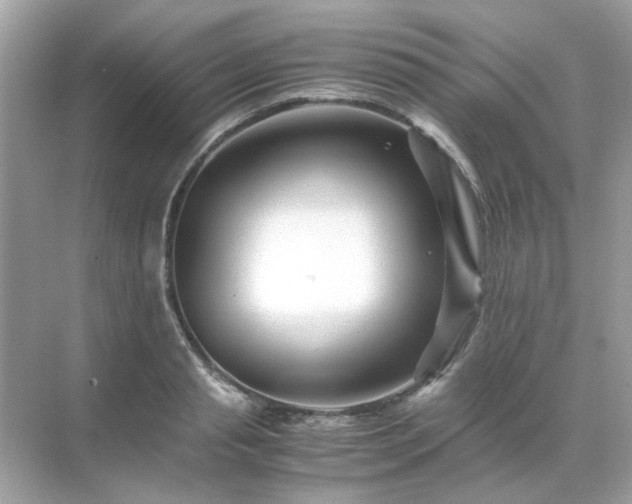 X0000071810845200607072115