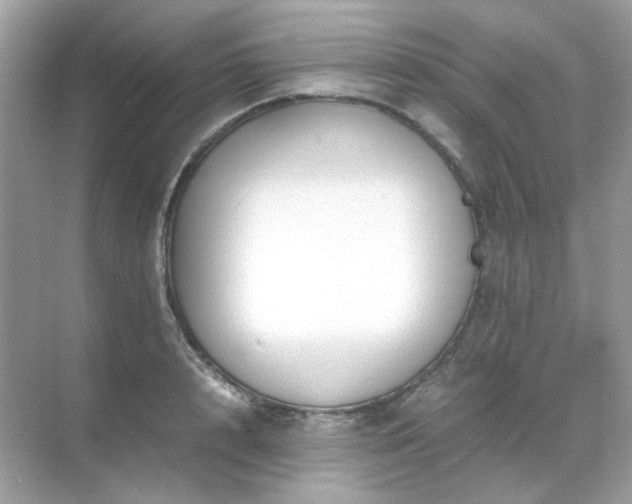 X0000071810848200607072115