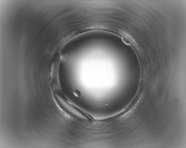 X0000071810849200607072115