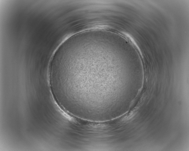 X0000071810851200607072115