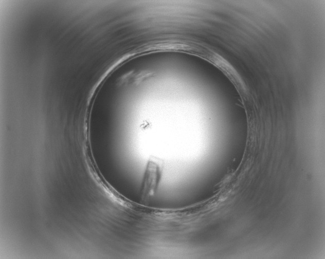 X0000071810852200607072115