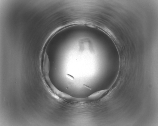 X0000071810854200607072115