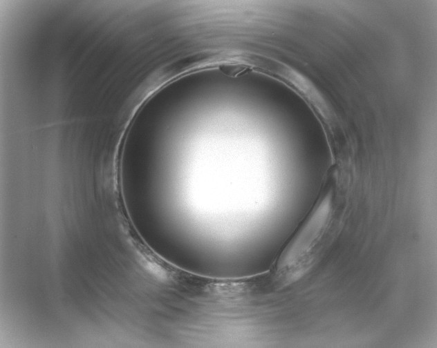 X0000071810858200607072115