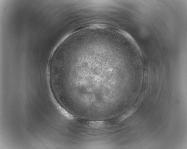 X0000071810859200607072115