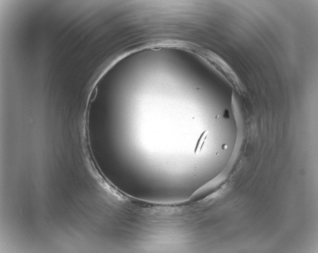 X0000071810860200607072115