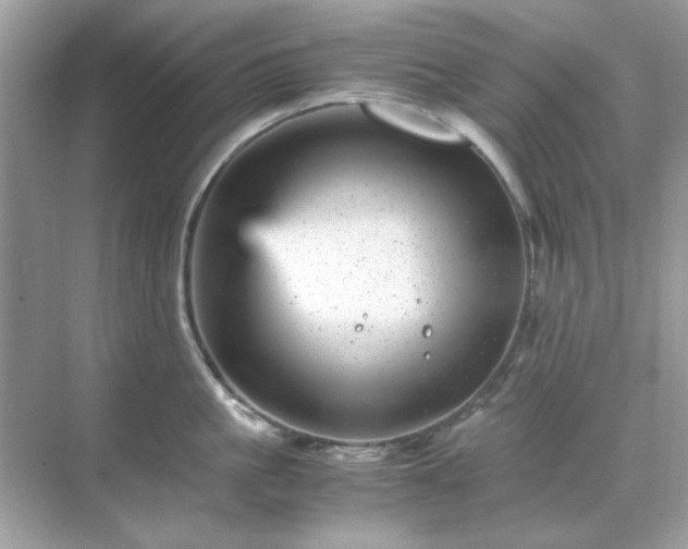 X0000071810861200607072116