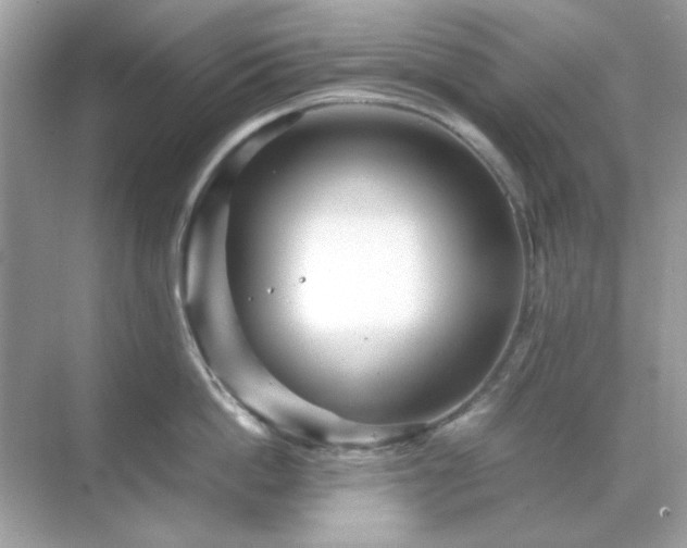 X0000071810862200607072116