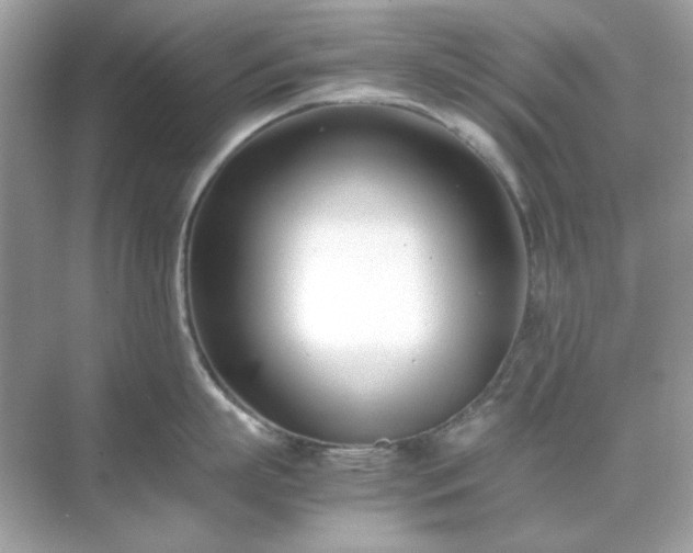 X0000071810863200607072116