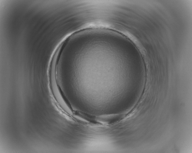 X0000071810864200607072116