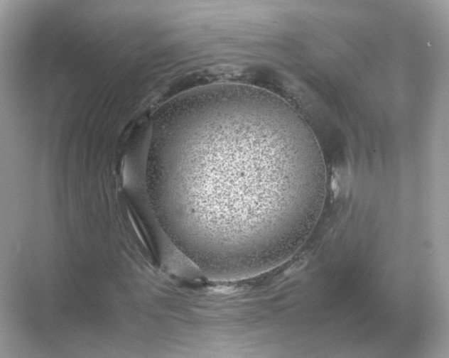 X0000071810867200607072115