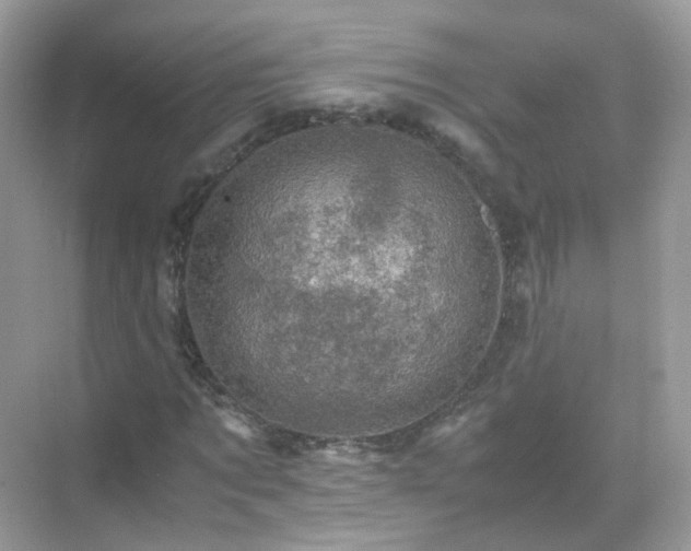 X0000071810869200607072115