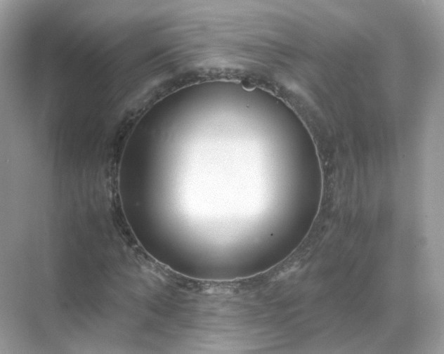 X0000071810870200607072115