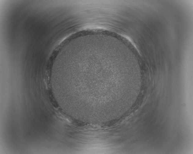 X0000071810871200607072115