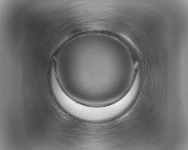 X0000071810873200607072115