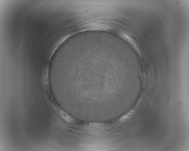 X0000071810875200607072115