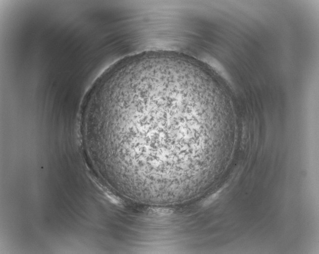 X0000071810878200607072115