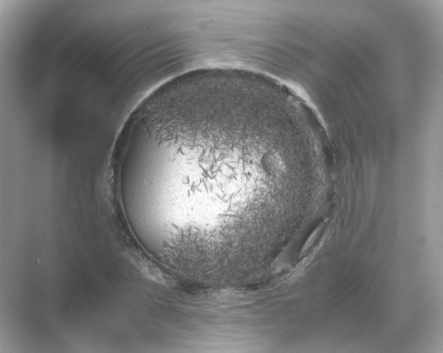 X0000071810879200607072115